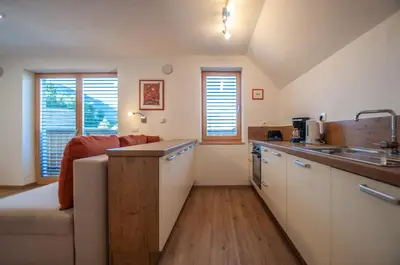 a kitchen with a couch and a sink in a room at Apartments Izvir in Bohinj