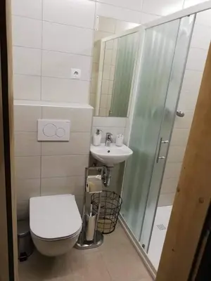 a small bathroom with a toilet and a sink at Apartmaji Pavc in Bohinj