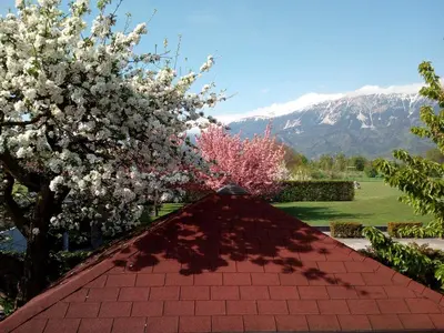 a garden with a flowering tree and a red brick pathway at APARTMA CARNICA in Bled