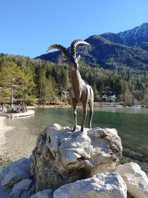 a goat standing on top of a rock at Ajda apartment in Kranjska Gora