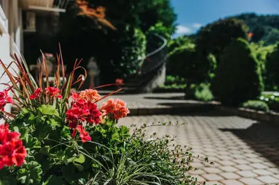 a garden with red flowers and a brick walkway at Apartmaji Urška in Laško
