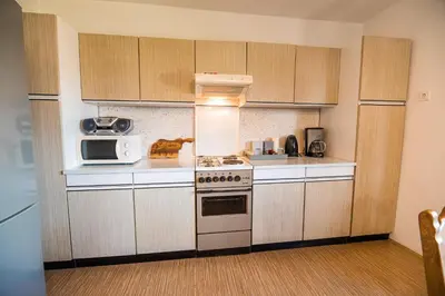 a kitchen with a stove and a microwave at Country House Sara in Rečica ob Savinji