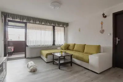 a living room with a couch and a dog at Family Apartment NAKITEYA in Ljubljana