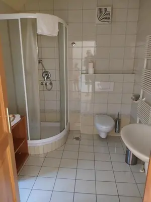 a bathroom with a shower and a toilet and a sink at Antela, 142 m2 appartment for 12 person in Mariborsko Pohorje in Pohorje