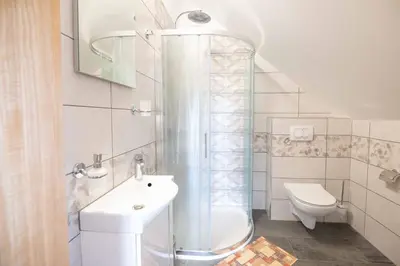 a bathroom with a shower and a toilet and a sink at Apartment & Room Pristov in Žirovnica