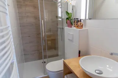 a bathroom with a shower with a toilet and a sink at Hišice Čarna - Houses Čarna in Puconci