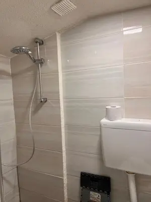a bathroom with a shower head and a toilet at Panda Rooms in Maribor
