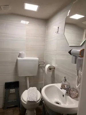 a bathroom with a white toilet and a sink at Panda Rooms in Maribor