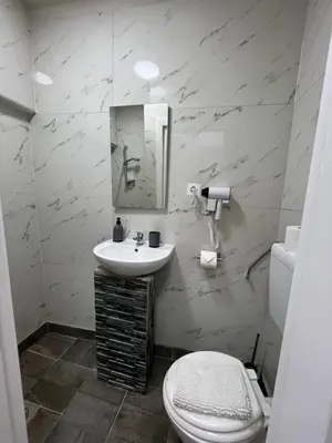 a white bathroom with a sink and a toilet at Panda Rooms in Maribor