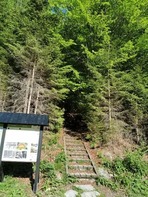 a set of stairs in a forest with a sign at POHORJE HOUSE Rogla 2 in Oplotnica