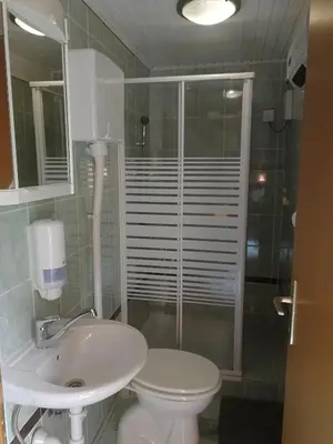 a bathroom with a toilet and a sink and a shower at Apartment House Papa in Vinica