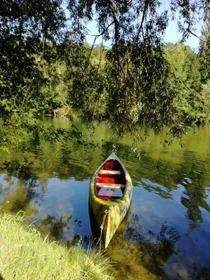 a yellow canoe sitting in the water under a tree at Apartment House Papa in Vinica
