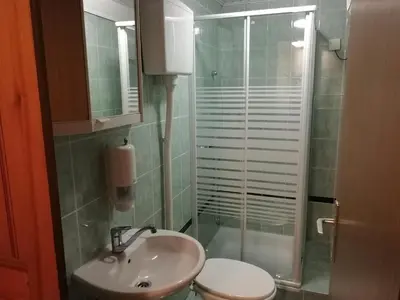 a bathroom with a sink and a toilet and a shower at Apartment House Papa in Vinica