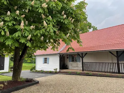 a white house with a red roof and a tree at Domačija Pri Momi in Križevci
