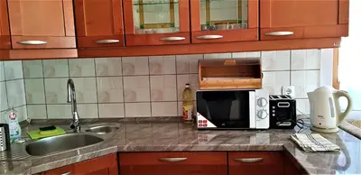 a kitchen counter with a microwave and a sink at Mountain peaks Apartment with Sauna in Gozd Martuljek
