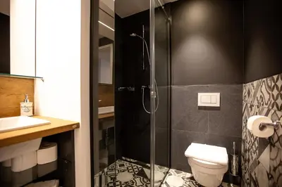 a bathroom with a shower with a toilet and a sink at Postcard City Apartments in Maribor