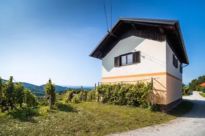a house with a window on the side of it at Holiday Home Kerin in Cerklje ob Krki