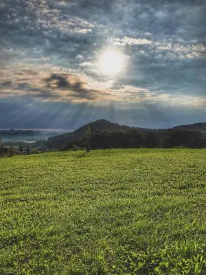 a field of green grass with the sun in the sky at Sunrise Home in Maribor