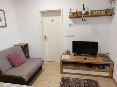 a living room with a couch and a flat screen tv at Apartments Alexandra in Celje