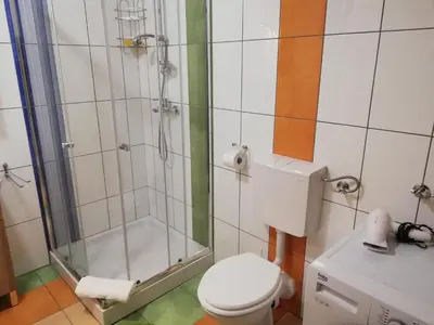 a bathroom with a shower and a toilet at Apartments Alexandra in Celje