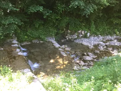 a small stream of water with rocks and trees at Bohinj Barn in Bohinj