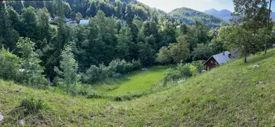 a grassy hill with a house and a forest at Bohinj Barn in Bohinj
