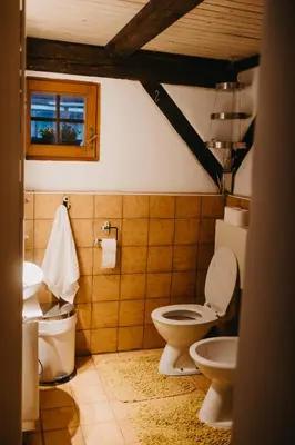 a bathroom with a toilet and a sink at Lake House with a View in Šmartno v Rožni Dolini