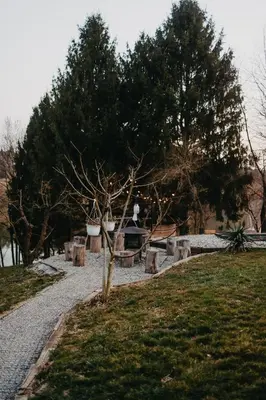 a tree in the middle of a gravel path at Lake House with a View in Šmartno v Rožni Dolini