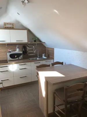 a kitchen with a sink and a table with chairs at APARTMA AJDA in Kranj