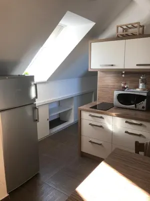 a kitchen with a refrigerator and a microwave at APARTMA AJDA in Kranj