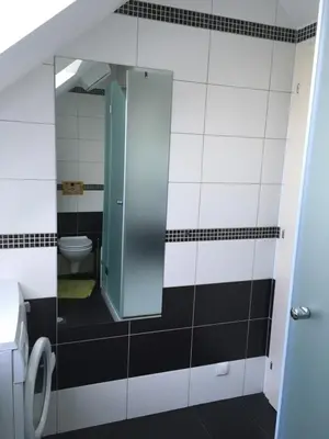 a bathroom with a toilet and a mirror at APARTMA AJDA in Kranj