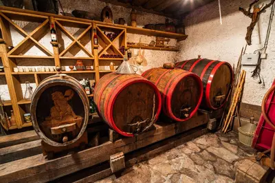 a group of wine barrels in a room at Authentic Countryside Villa with Hot tub in Veliki Kamen
