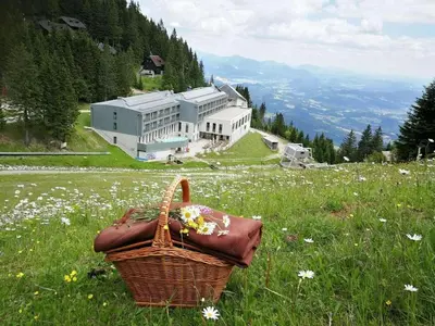 a basket of flowers in a field in front of a building at Peaceful Nature Cabin Jolly in Mozirje