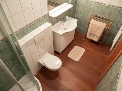 a bathroom with a toilet and a sink and a mirror at Alpeambient house Dovje in Mojstrana
