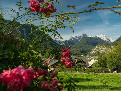 a view of a mountain range with pink flowers at Alpeambient house Dovje in Mojstrana