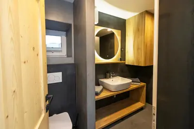 a bathroom with a sink and a mirror at Apartments Alp in Bohinj