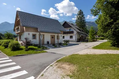 a house with a metal roof on a road at Apartments Alp in Bohinj