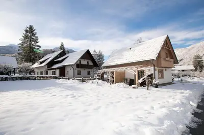 a couple of houses in the snow at Apartments Alp in Bohinj