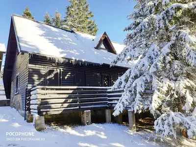 an old cabin in the snow with a snow covered tree at Tree Top Rogla Apartment in Zreče
