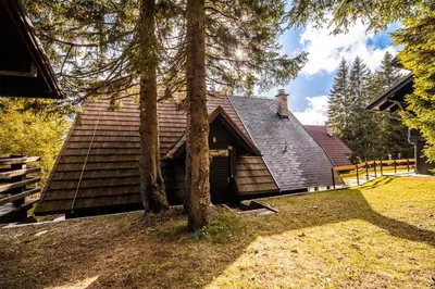 a house with two trees in front of it at Tree Top Rogla Apartment in Zreče