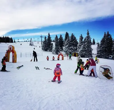 a group of people on skis in the snow at Tree Top Rogla Apartment in Zreče