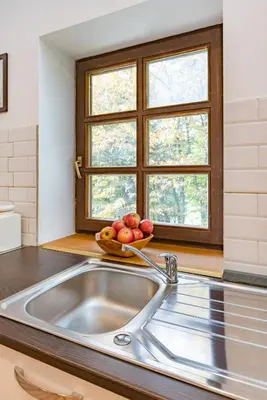 a kitchen with a sink and a bowl of apples at APARTMENT ZYNGA - STUD FARM in Šentvid pri Stični