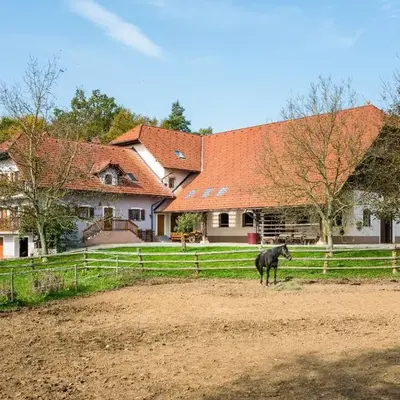 APARTMENT ZYNGA - STUD FARM