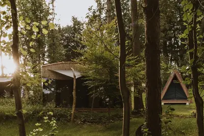 a tent in the middle of a forest at Falkensteiner Premium Camping Lake Blagus in Sveti Jurij ob Ščavnici