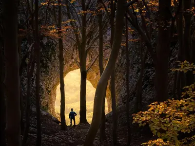 a man walking down a path through a forest at Apartment VILLA IRENA Great For a Family Holiday With Free Parking And EV Station in Ajdovščina