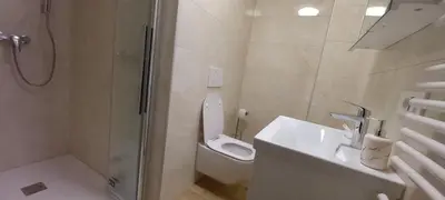a bathroom with a toilet and a sink and a shower at Appartment Bezenica in Dobrova