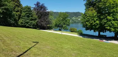 a park with a grassy hill next to a lake at ALEX BUMBLEBEE in Bled