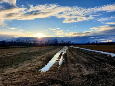 a dirt road in the middle of a field at Apartment Barje I in Ljubljana