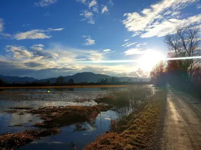 a dirt road next to a body of water at Apartment Barje I in Ljubljana