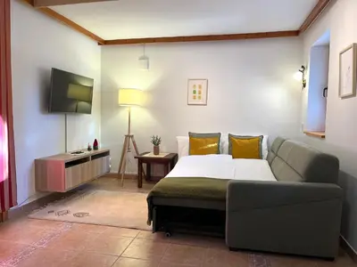 a bedroom with a bed and a couch and a television at Chalet Harmony Rogla - apartment in Zreče